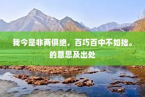 我今是非两俱绝，百巧百中不如拙。的意思及出处