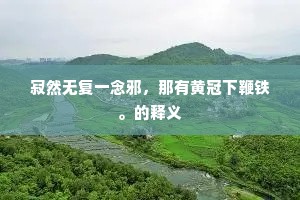 寂然无复一念邪，那有黄冠下鞭铁。的释义