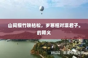 山间瘦竹映枯松，岁寒相对凛君子。的释义