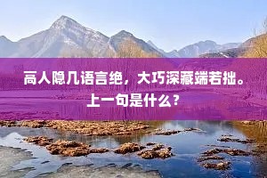 高人隐几语言绝，大巧深藏端若拙。上一句是什么？