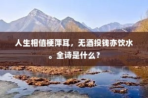 人生相值梗萍耳，无酒投钱亦饮水。全诗是什么？