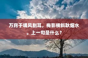 万窍于喁风割耳，梅影横斜耿烟水。上一句是什么？