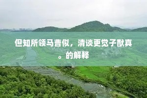 但知所领马曹似，清谈更觉子猷真。的解释