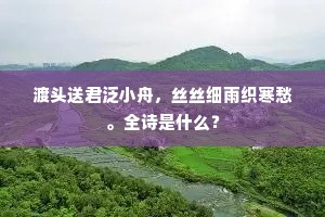 渡头送君泛小舟，丝丝细雨织寒愁。全诗是什么？