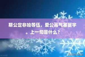 期公定非哙等伍，爱公高气塞寰宇。上一句是什么？
