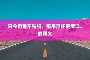 只今得兔不钻纸，那用浮杯更度江。的释义