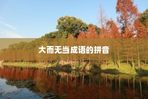 大而无当成语的拼音