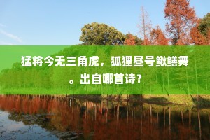 猛将今无三角虎，狐狸昼号鳅鳝舞。出自哪首诗？
