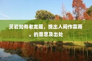 灵岩知有老龙藏，挽出人间作霖雨。的意思及出处