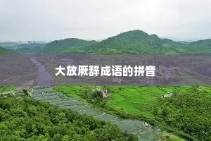 大放厥辞成语的拼音