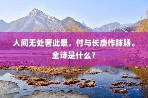 人间无处著此景，付与长庚作肺肠。全诗是什么？