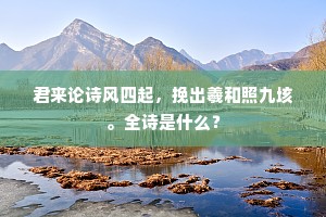 君来论诗风四起，挽出羲和照九垓。全诗是什么？