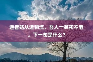 逝者姑从造物流，吾人一笑初不老。下一句是什么？