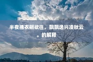 半夜拂衣翩欲往，飘飘逸兴凌秋云。的解释