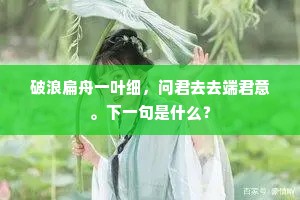 破浪扁舟一叶细，问君去去端君意。下一句是什么？