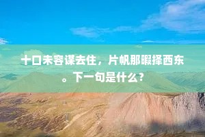十口未容谋去住，片帆那暇择西东。下一句是什么？