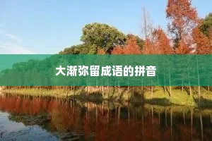 大渐弥留成语的拼音