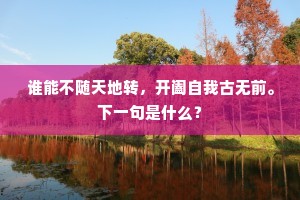 谁能不随天地转，开阖自我古无前。下一句是什么？