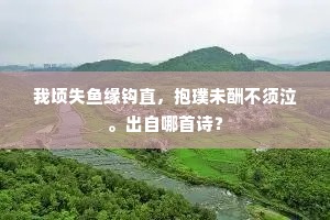 我顷失鱼缘钩直，抱璞未酬不须泣。出自哪首诗？