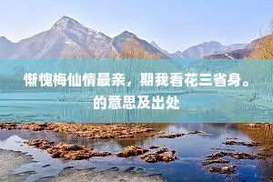 惭愧梅仙情最亲，期我看花三省身。的意思及出处