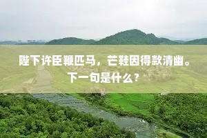 陛下许臣鞭匹马，芒鞋因得款清幽。下一句是什么？