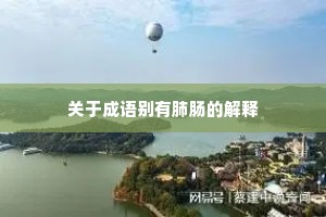 关于成语别有肺肠的解释