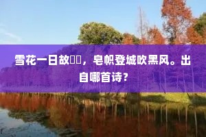 雪花一日故濛濛，皂帜登城吹黑风。出自哪首诗？