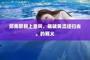 郊南期税上皇舆，截破黄流径归去。的释义