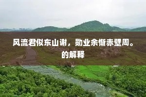 风流君似东山谢，勋业余惭赤壁周。的解释