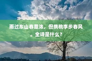 雨过东山春意浓，但携桃李步春风。全诗是什么？
