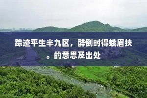 踪迹平生半九区，醉倒时得蛾眉扶。的意思及出处