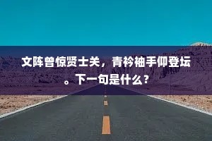 文阵曾惊贤士关，青衿袖手仰登坛。下一句是什么？