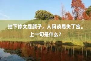 地下修文屈颜子，人间谈易失丁宽。上一句是什么？