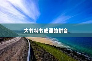 大书特书成语的拼音