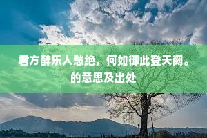 君方醉乐人愁绝，何如御此登天阙。的意思及出处