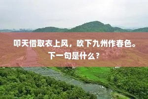 叩天借取衣上风，吹下九州作春色。下一句是什么？