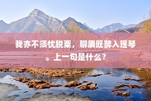 我亦不须忧脱粟，聊赓既醉入瑶琴。上一句是什么？