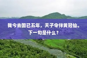 我今去国已五年，天子令伴黄冠仙。下一句是什么？