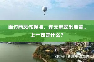 雨过西风作晚凉，连云老翠出新黄。上一句是什么？