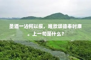 圣酒一沾何以报，唯欣颂德奉时康。上一句是什么？