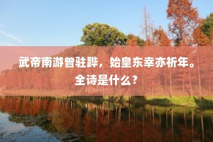 武帝南游曾驻跸，始皇东幸亦祈年。全诗是什么？