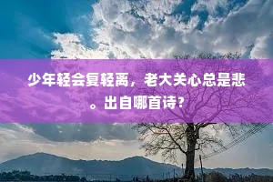 少年轻会复轻离，老大关心总是悲。出自哪首诗？