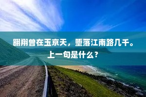 翱翔曾在玉京天，堕落江南路几千。上一句是什么？