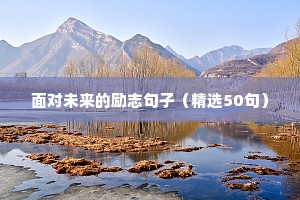 面对未来的励志句子（精选50句）