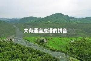 大有迳庭成语的拼音