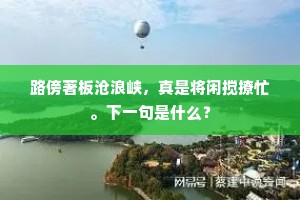 路傍著板沧浪峡，真是将闲搅撩忙。下一句是什么？