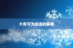 大有可为成语的解释