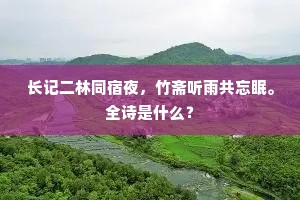 长记二林同宿夜，竹斋听雨共忘眠。全诗是什么？