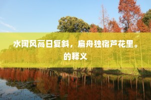 水阔风高日复斜，扁舟独宿芦花里。的释义