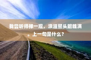 我尝听师禅一观，浪溢鳌头蟾魄满。上一句是什么？